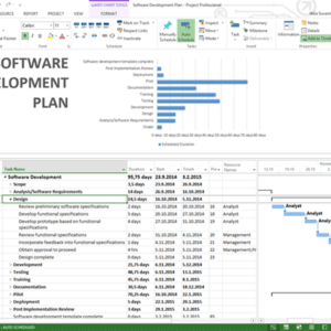 Software development plan